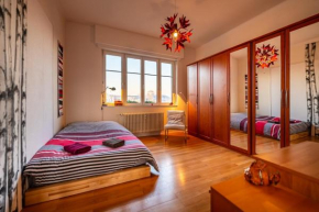 Large apartment in Strasbourg